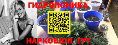 гашик Нарткала