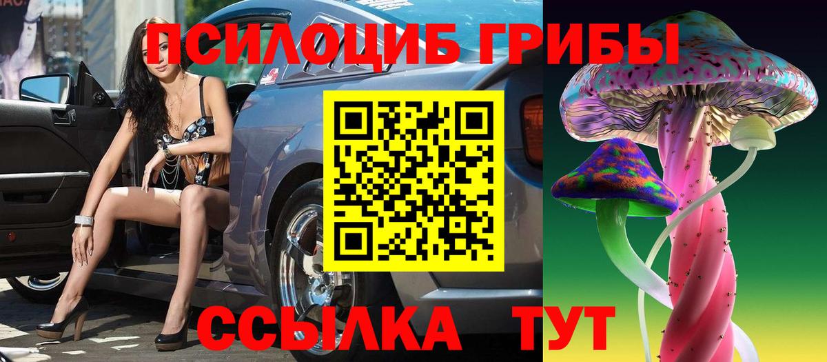 Галлюциногенные грибы Psilocybe Тосно