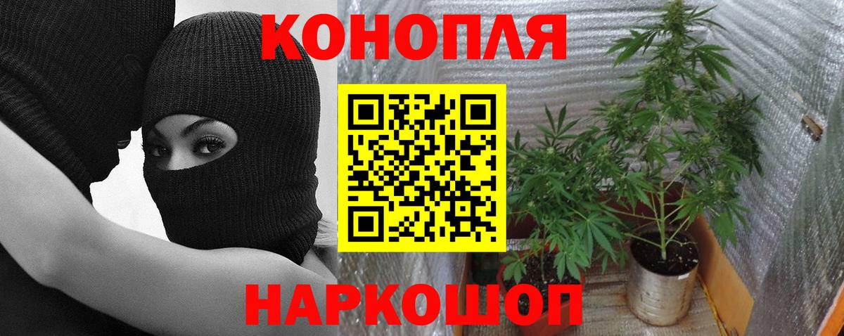 Бошки Шишки индика Тосно